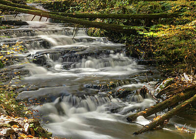 Temples Rights Managed Images - Stokes Forest Stony Brook Step Falls Royalty-Free Image by Steven Richman