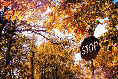 Target Project 62 Scribble - Stop For Autumn by Jim Love