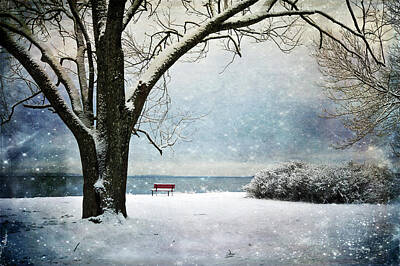 Abstract Trees Mandy Budan - Stories from a Bench by Randi Grace Nilsberg
