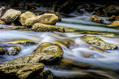 Randall Nyhof Photo Royalty Free Images - Stream in The Smoky Mountains Royalty-Free Image by Randall Nyhof
