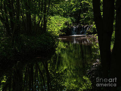 Ps I Love You Rights Managed Images - Stream in woods. Enchanted water reflection. Royalty-Free Image by Elena Dijour