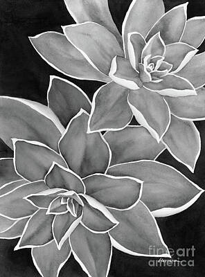 States As License Plates - Succulent Duo 2 in Black and White by Hailey E Herrera