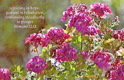 Fall Pumpkins - Summer Geraniums and Scripture by Gaby Ethington