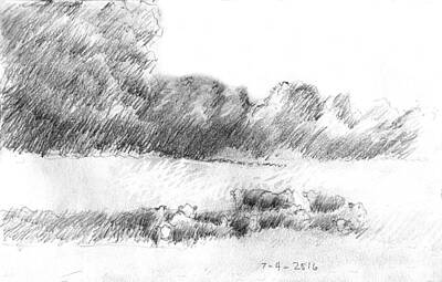 Impressionism Drawings - Summer Grazing by David Zimmerman