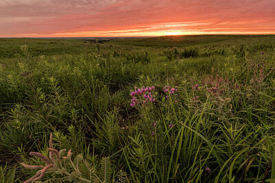 Scott Bean Royalty Free Images - Summer Sunset Royalty-Free Image by Scott Bean
