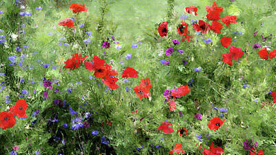 Impressionism Royalty-Free and Rights-Managed Images - Summer Wildflower Meadow Impressionist Style by Western Exposure