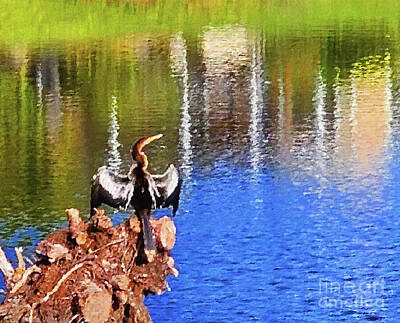 From The Kitchen - Sunbathing Anhinga by Sharon Williams Eng