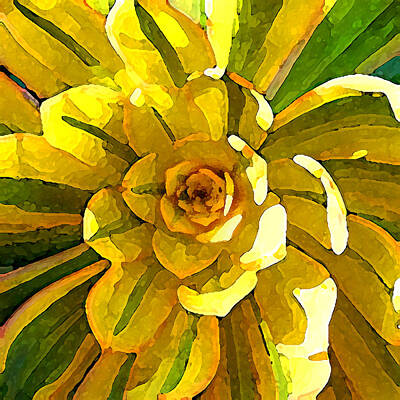 Paintings - Sunburst Succulent Square by Amy Vangsgard