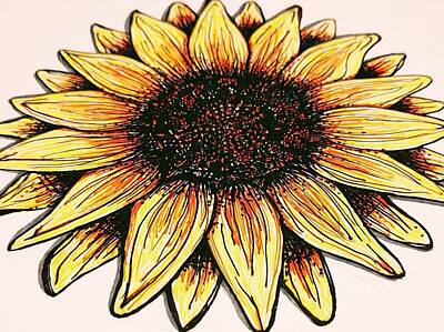 Sunflowers Drawings - Sunflower 2 by Erica Mathers