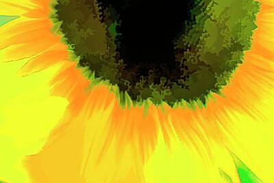 Impressionism Photos - Sunflower Abstract Art by David Pyatt