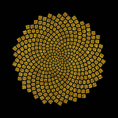 Sunflowers Digital Art - Sunflower by Alverta Mayer