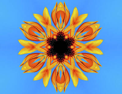 Vermeer Royalty Free Images - Sunflower Blues Mandala Royalty-Free Image by Lucia Vega
