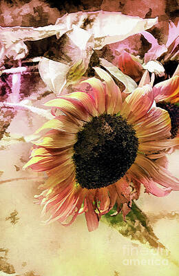 Sunflowers Mixed Media - Sunflower End of Season  by Elaine Manley