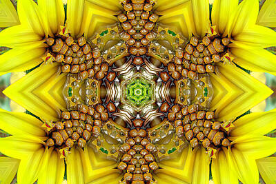 Sunflowers Digital Art - Sunflower Guest - Variation - Only A Fine Day by Carlos Vieira