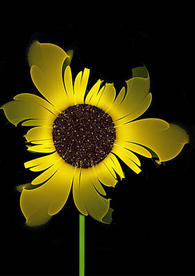 Sunflowers Digital Art - Sunflower Hybrid by James Shaw