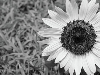 Valentines Day - Sunflower Summer by Debbie Karnes