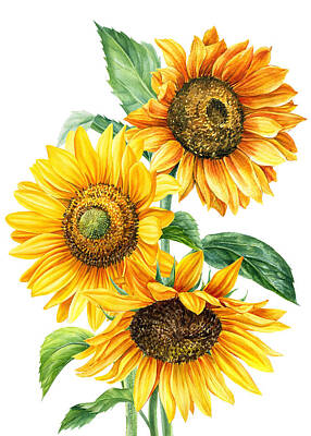Sunflowers Mixed Media - Sunflowers by Julien