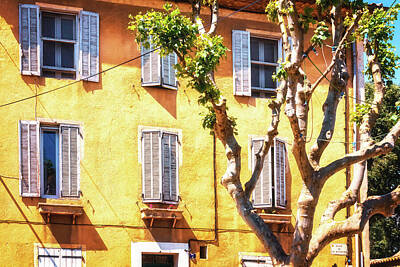 Watercolor Dogs - Sunny yellow Provence walls by Tatiana Travelways