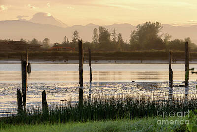 Man Cave Royalty Free Images - Sunrise on Mt. Baker Royalty-Free Image by Cindy Shebley