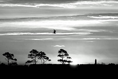 Fashion Paintings - Sunrise over Fenwick Island in Black and White by Bill Swartwout