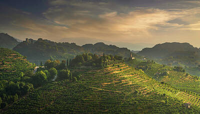 Royalty-Free and Rights-Managed Images - Sunrise over vineyards of Prosecco Hills. Italy by Stefano Orazzini