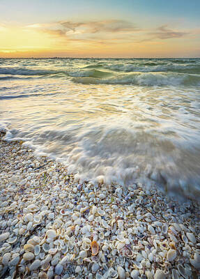 Rowing - Sunrise With Seashells by Jordan Hill