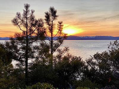 Impressionism Photos - Sunset at Lake Tahoe 1 by Masha Batkova
