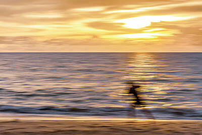 Presidential Portraits - Sunset Beach Runner by Lucy Brown