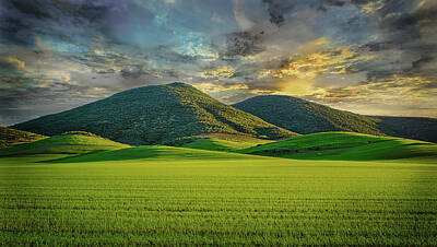 Lime Art - Sunset Fields by Pat Keith
