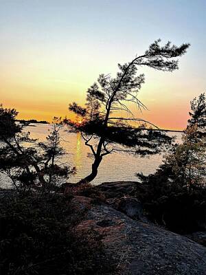 Landscapes Royalty-Free and Rights-Managed Images - Sunset in Muskoka by Tiberius Papp