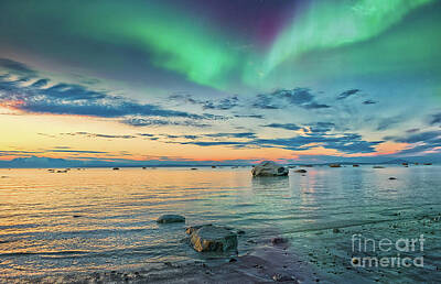 Recently Sold - Animals Rights Managed Images - Sunset on the Cook Inlet in Alaska with the Northern Lights Royalty-Free Image by Patrick Wolf