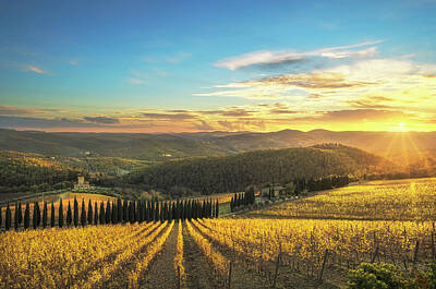 Spa Candles - Sunset over the Vineyards of Radda in Chianti by Stefano Orazzini