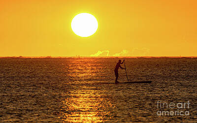 Sports Royalty-Free and Rights-Managed Images - SUP all Day, SUP all the Way by Phillip Espinasse