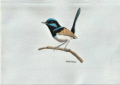 Guns Arms And Weapons - Superb fairywren - the painting by Athol KLIEVE