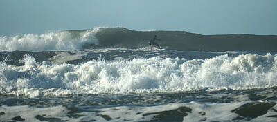 Mother And Child Animals - Surfing at Croyde #19 by Mark Woollacott