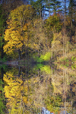 Surrealism Photos - Surreal inverted Autumn lake reflection by Fem Entangled
