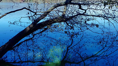 Surrealism Photo Royalty Free Images - Surreal Reflections on Radnor Lake  Royalty-Free Image by Ally White