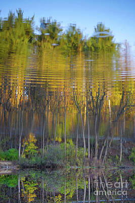 Surrealism Photos - Surreal rippling forest reflection in water by Fem Entangled