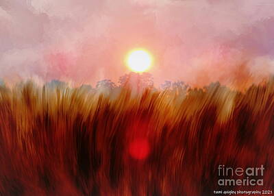 Surrealism Royalty Free Images - Surreal Sunflare Field Royalty-Free Image by Tami Quigley