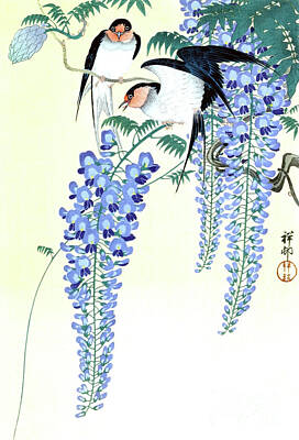 City Scenes Drawings - Swallows and Wisteria - Ohara Koson by Sad Hill - Bizarre Los Angeles Archive