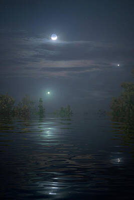 Mark Andrew Thomas Royalty-Free and Rights-Managed Images - Swamp Lights by Mark Andrew Thomas