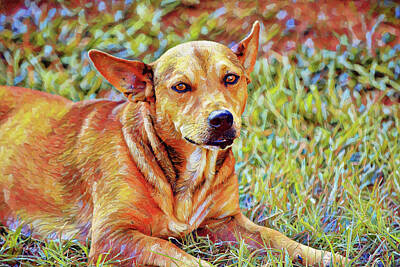 Painted Wine - Sweetheart Dog Taking a Break by Gaby Ethington