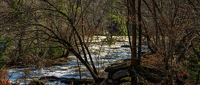 Science Collection - Sweetwater Creek Flowing  by Ed Williams