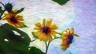 Sunflowers Digital Art - Swirly Sunflowers by Marie Dudek Brown