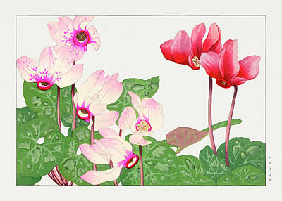 Floral Digital Art - Syclamen Flowers - Ukiyo e art - Vintage Japanese woodblock art - Seiyo SOKA ZUFU by Tanigami Konan by Studio Grafiikka