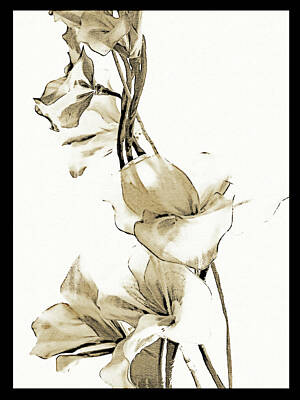 Still Life Mixed Media - Tall Flowers Sepia by Sharon Williams Eng