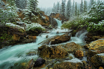 Seascapes Larry Marshall Rights Managed Images - Winter Summer Water falls Fog Tangle Creek Fall , Banff National Park Royalty-Free Image by Yves Gagnon