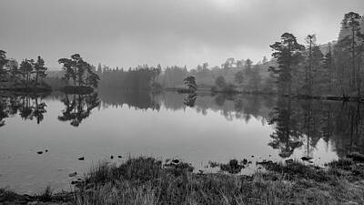 Temples - Tarn Hows Monochrome by Tim Hill