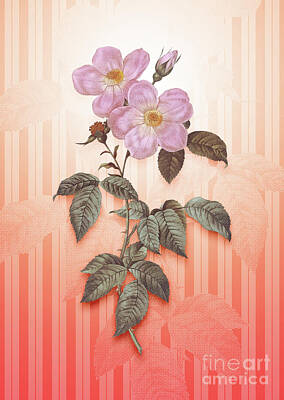 Florals Paintings - Tea Scented Roses Bloom Vintage Botanical in Peach Fuzz Awning Stripes Pattern n.0318 by Holy Rock Design