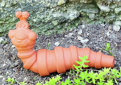 Halloween Elwell Royalty Free Images - Terra Cotta Caterpillar Royalty-Free Image by Only A Fine Day